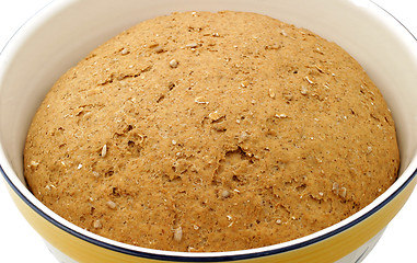 Image showing Hearty Bread Dough