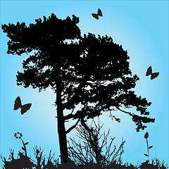 Image showing Tree Silhouette
