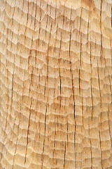 Image showing wood texture