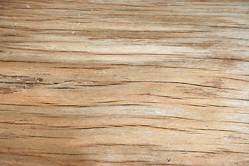 Image showing wood texture