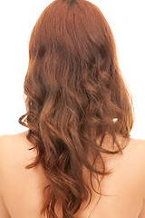 Image showing woman with long hair from the back