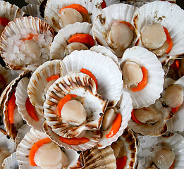 Image showing Delicious shell