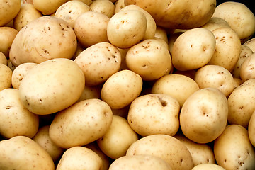 Image showing Organic potato