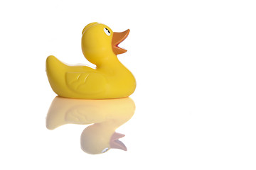 Image showing  Rubber Duck