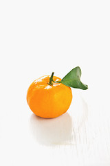 Image showing Orange