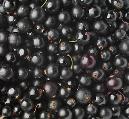 Image showing black currant background