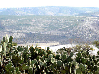 Image showing Mexican rural view