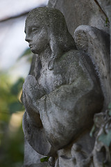 Image showing Stone angel