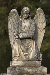 Image showing Stone angel