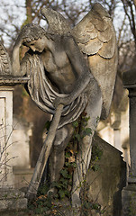 Image showing Stone angel