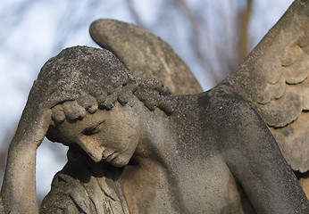 Image showing Stone angel