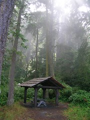 Image showing Gazebo, picnic shelter in the rain forest