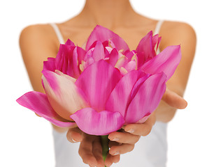 Image showing woman hands holding lotus flower