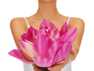 Image showing woman hands holding lotus flower