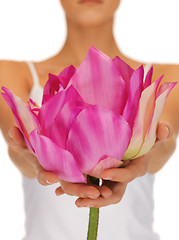 Image showing woman hands holding lotus flower