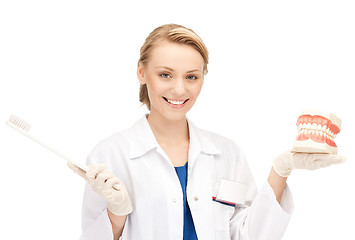 Image showing attractive female doctor with toothbrush and jaws