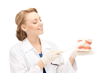 Image showing attractive female doctor with toothbrush and jaws