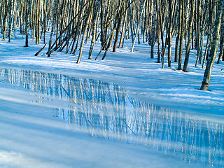 Image showing Spring Reflections