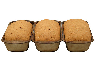 Image showing Hearty Bread Rising