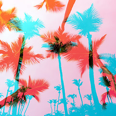 Image showing Exotic Palm Trees Montage