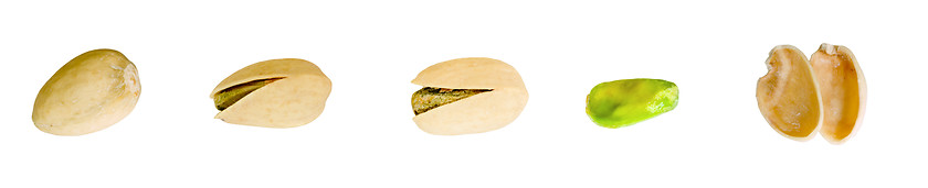 Image showing Pistachio