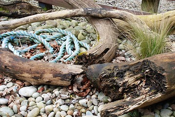 Image showing driftwood