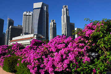 Image showing bougainville and singapore skyline