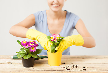 Image showing housewife with flower in pot and gardening set