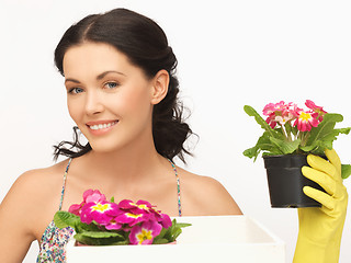 Image showing housewife with flower in box and pot