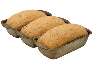 Image showing Hearty Bread Rising - diagonal