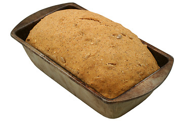 Image showing Hearty Bread Rising - close-up