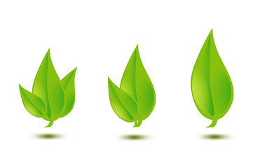 Image showing illustration of green leaves