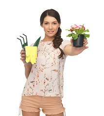 Image showing housewife with flower in pot and gardening set