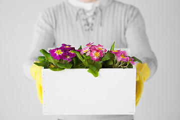 Image showing man holding  big pot with flowers