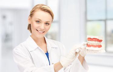 Image showing doctor with toothbrush and jaws