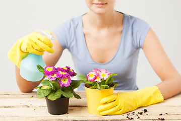 Image showing housewife with flower in pot and spray bottle