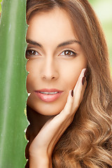 Image showing lovely woman with aloe vera