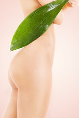 Image showing female torso with green leaf over beige background