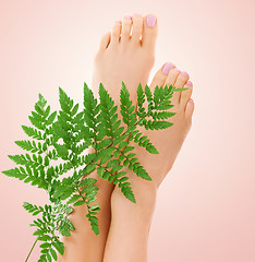 Image showing female feet with green leaf