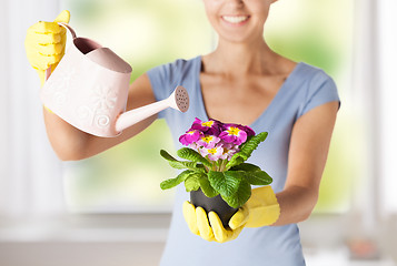 Image showing woman holding pot with flower