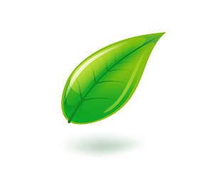 Image showing illustration of green leaf