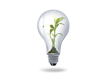 Image showing light bulb with plant inside