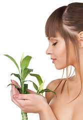 Image showing woman with green sprout
