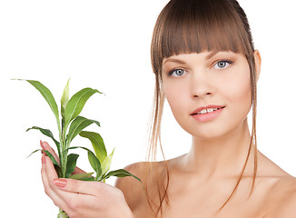 Image showing woman with green sprout