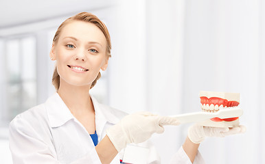 Image showing doctor with toothbrush and jaws