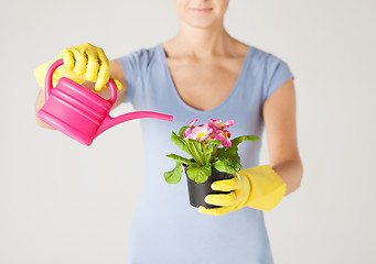 Image showing woman holding pot with flower