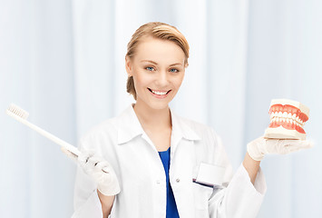 Image showing attractive female doctor with toothbrush and jaws