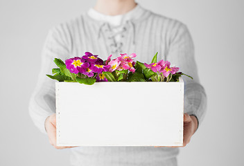 Image showing man holding  big pot with flowers