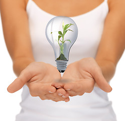 Image showing hands with green light bulb