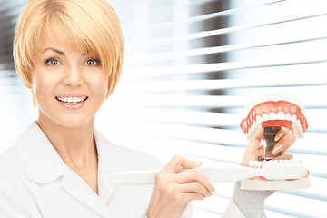 Image showing doctor with toothbrush and jaws